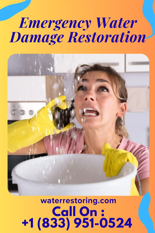 Emergency Water Damage Restoration in South Elgin, IL