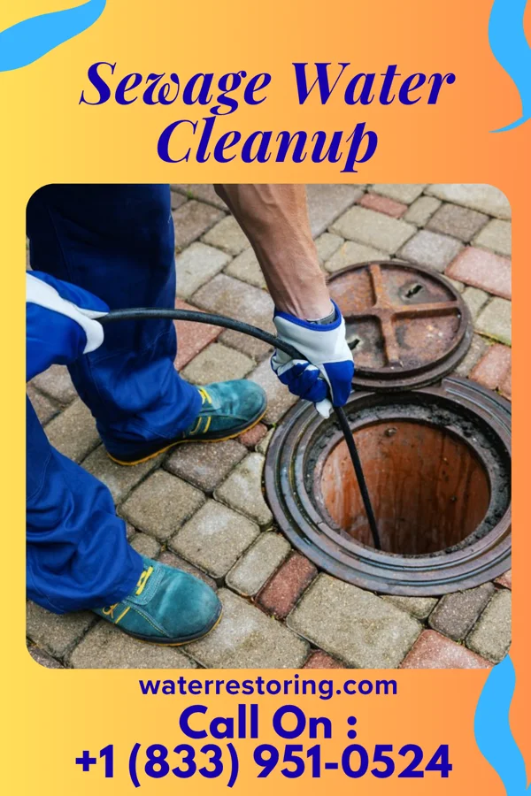 Sewage Water Cleanup in South Elgin, IL