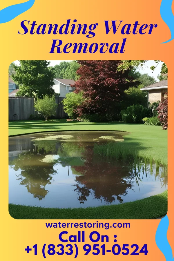 Standing Water Removal in South Elgin, IL